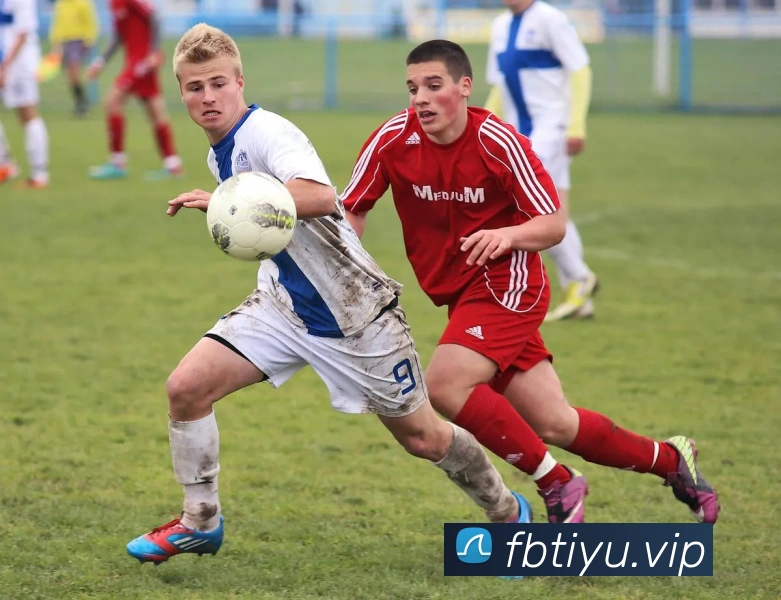 体育下注平台平台生态图