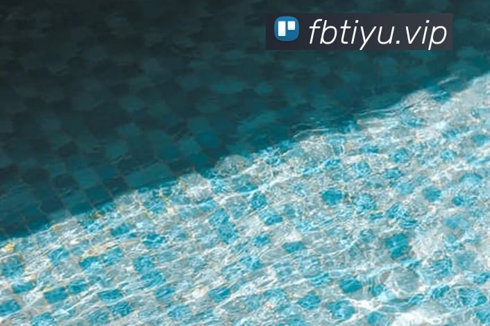 体育下注平台全站App